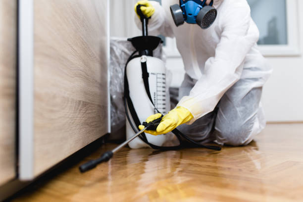 Trusted Cold Spring, NY Pest Control Experts
