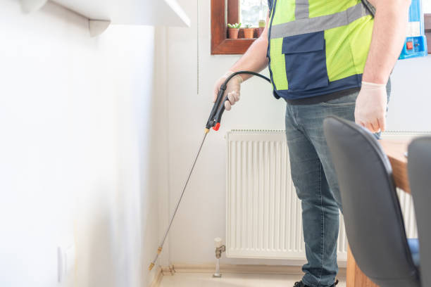 Best Flea Control Services  in Cold Spring, NY