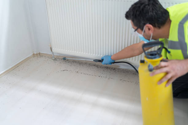 Best Local Pest Control Services  in Cold Spring, NY